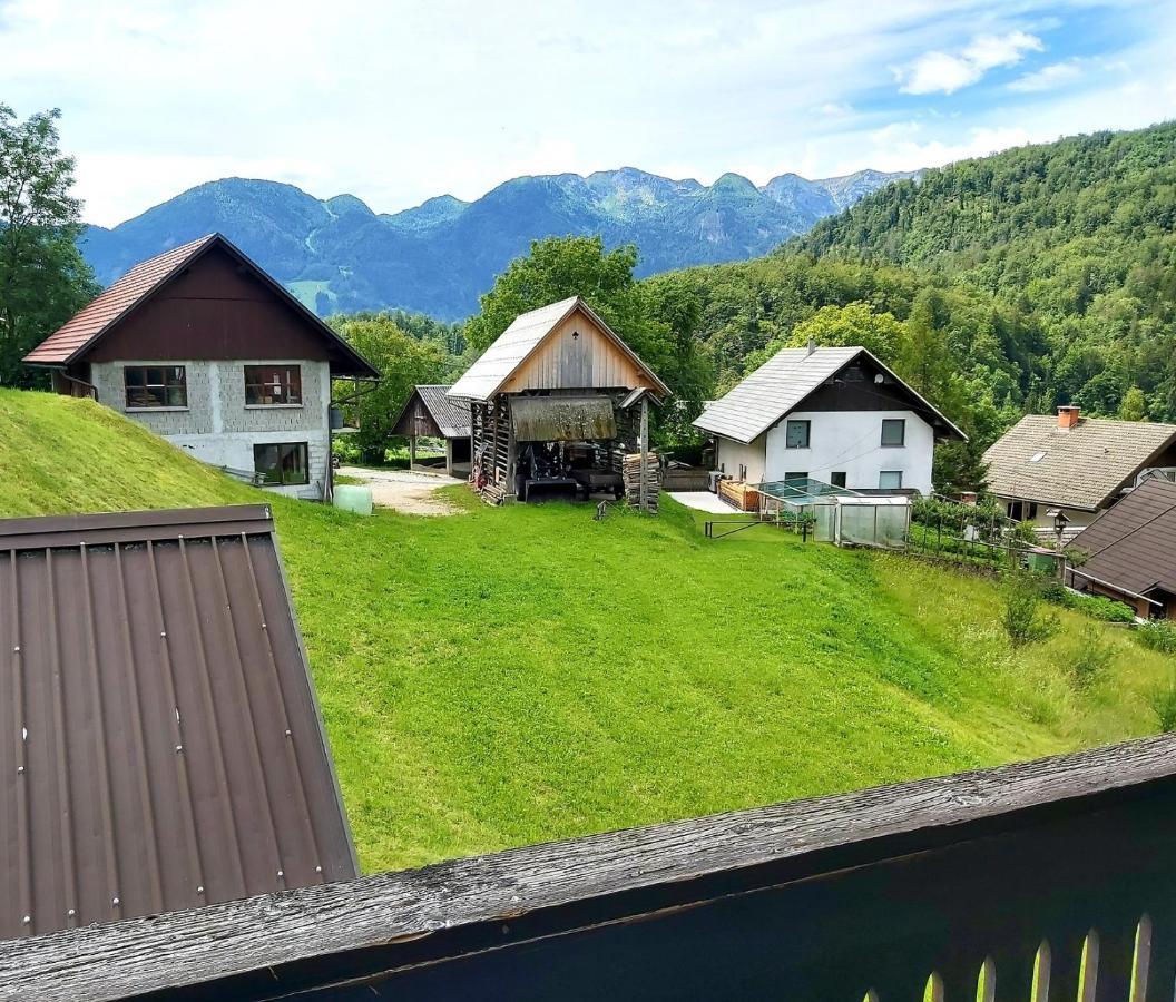 Alpine Village Home ボーヒニ エクステリア 写真