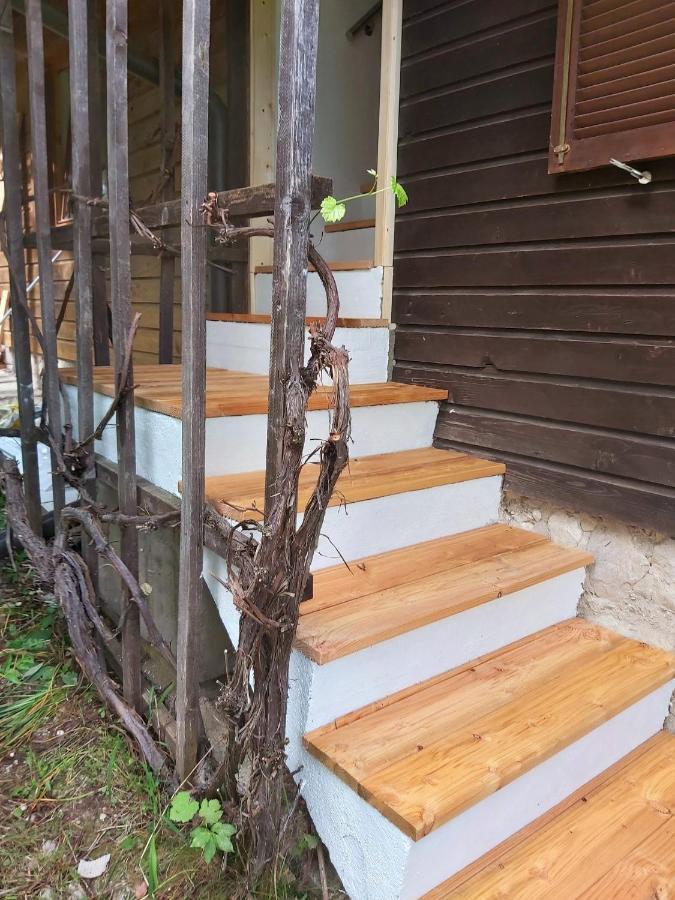 Alpine Village Home ボーヒニ エクステリア 写真